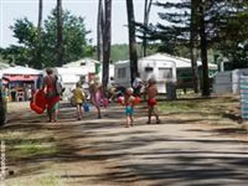 Camping municipal La Lette Fleurie 4