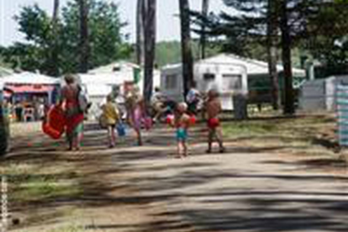 Camping municipal La Lette Fleurie 5