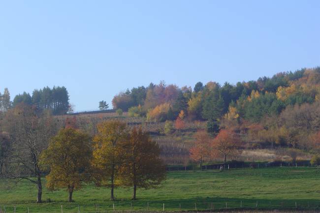 Camping Municipal La Louve image 1