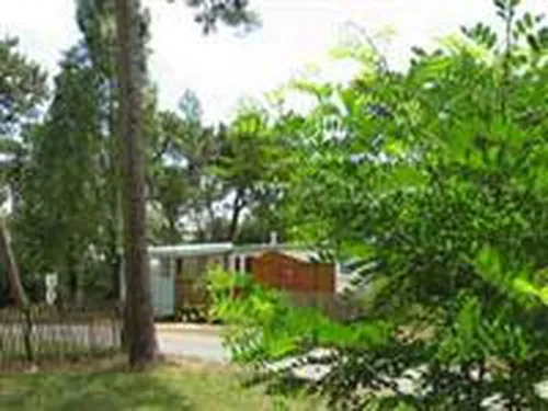 Camping Municipal Le Vieux Moulin 5