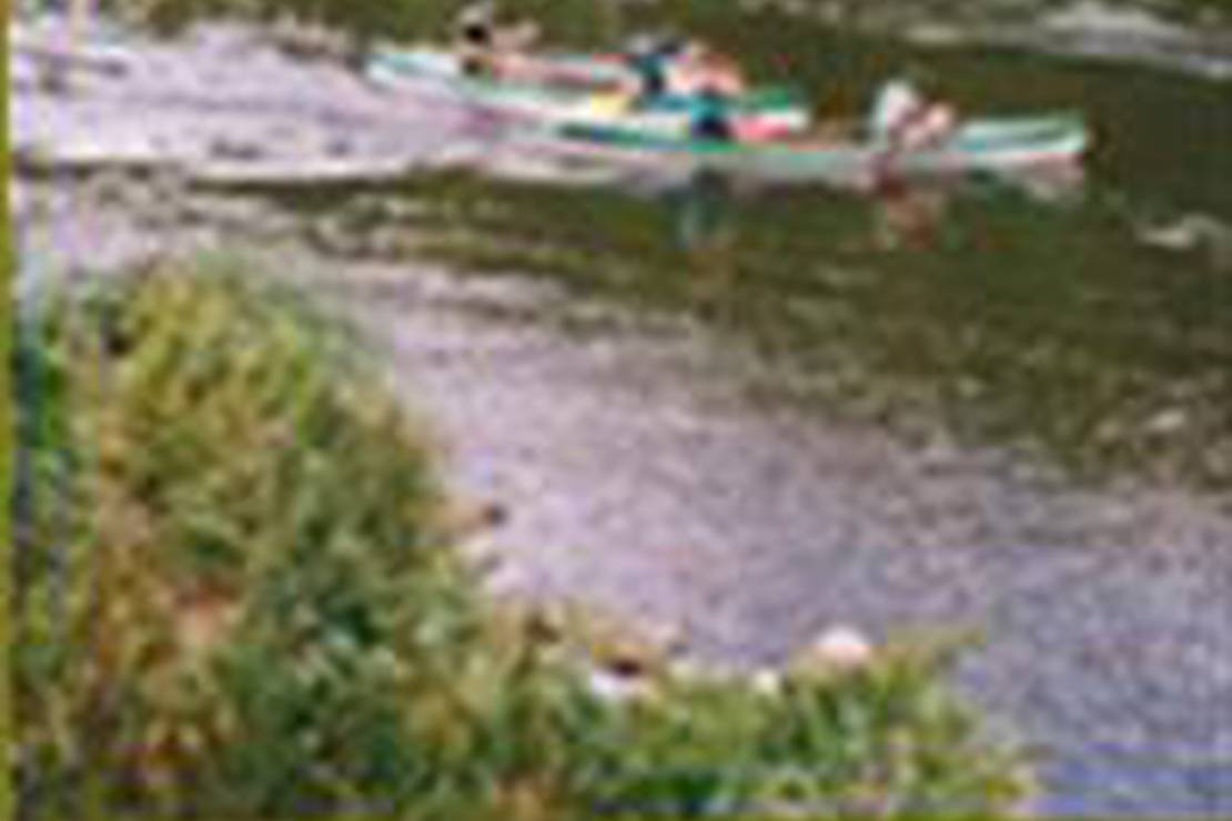 Camping Municipal Les Bateaux 6