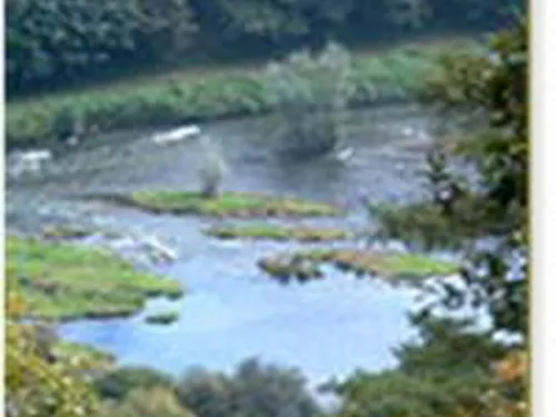 Camping Municipal Les Bateaux 7