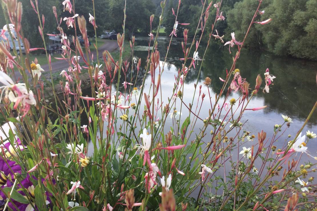 Camping Municipal Les Deux Ponts 5