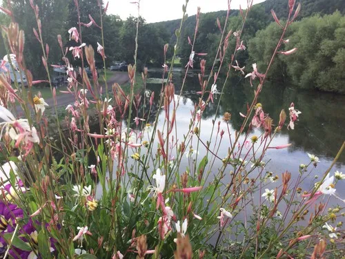 Camping Municipal Les Deux Ponts 4