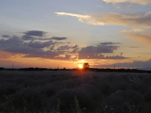 Camping Municipal Les Lavandes 5