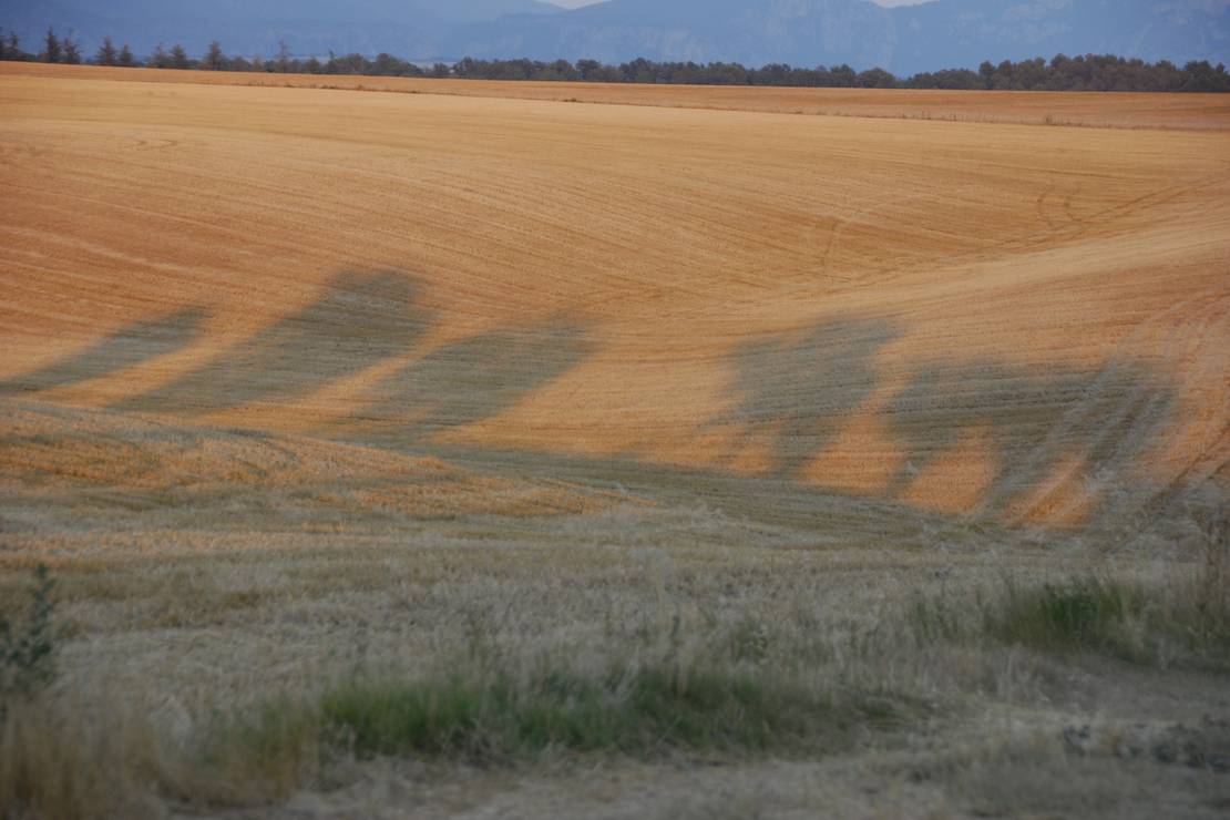 Camping Municipal Les Lavandes 4