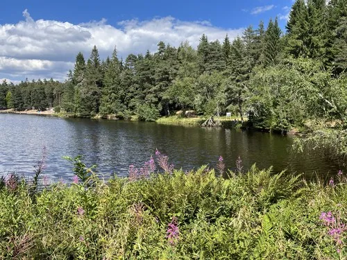 Camping Municipal Les Prades 4