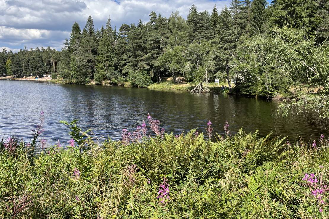 Camping Municipal Les Prades 5