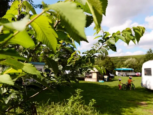 Camping Nahemühle GmbH 8