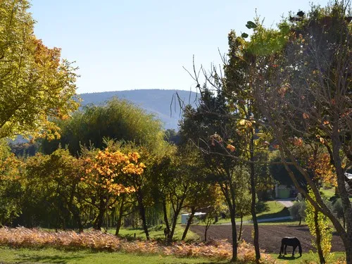 Camping Naturiste Le Vallon Des Oiseaux 5