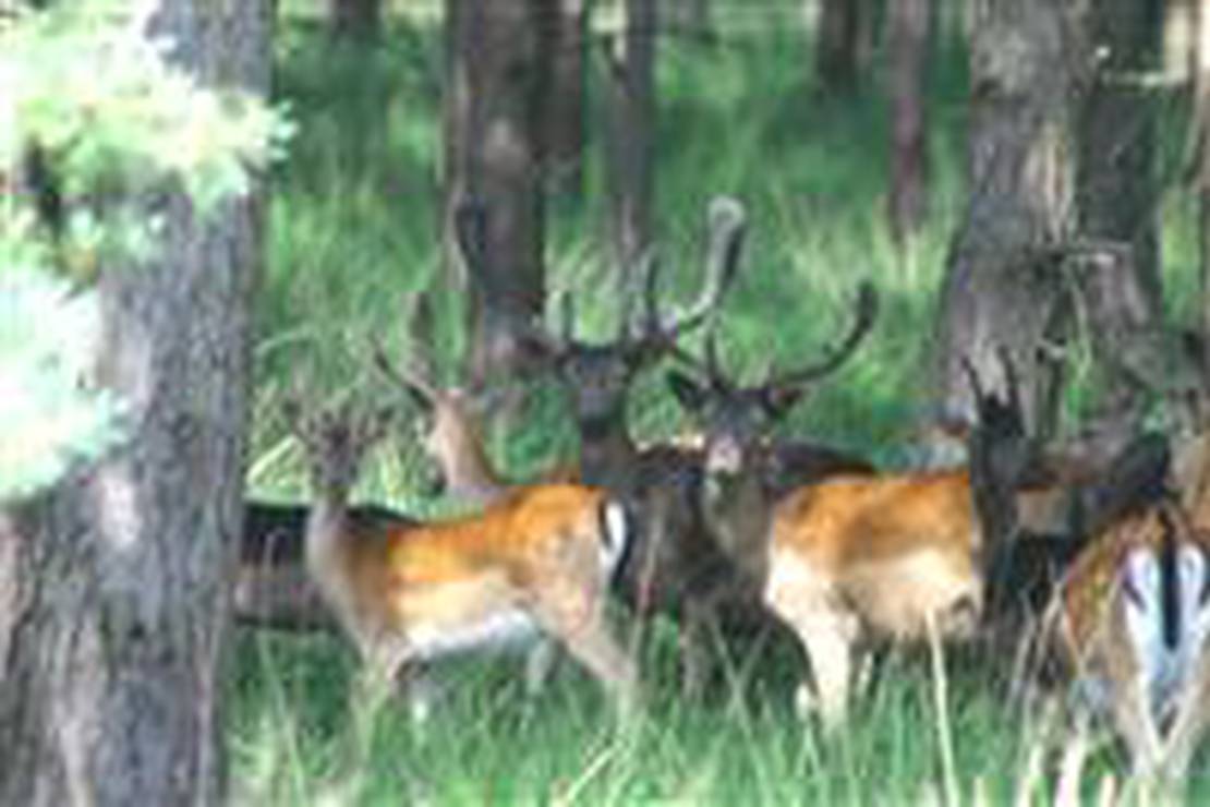 Camping Natuurplezier 5