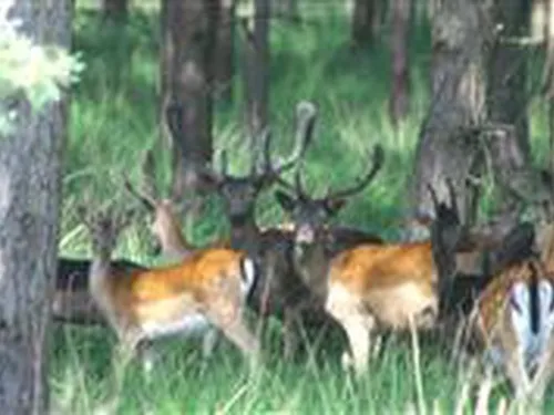 Camping Natuurplezier 4