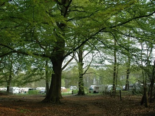 Camping Nederrijkswald 6