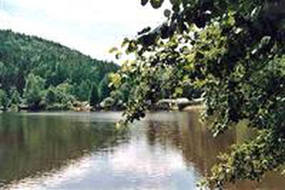 Camping Neudahner Weiher 6