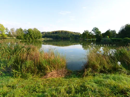 Camping Neumühlsee 5