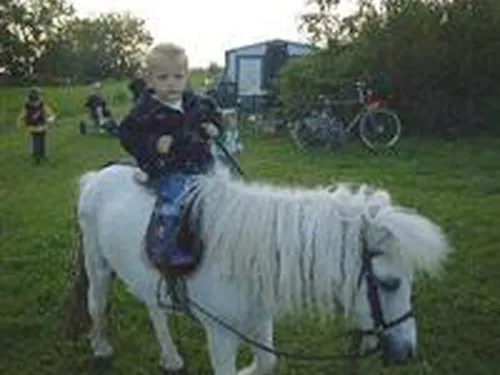 Camping Nij Wybranda 3