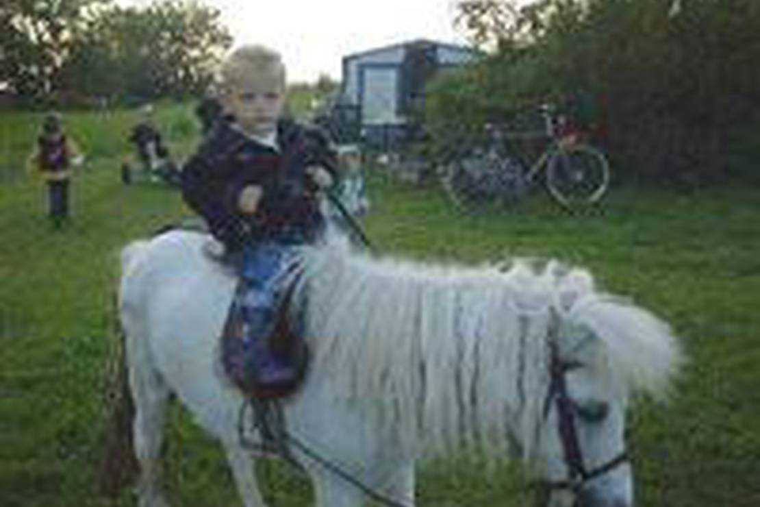 Camping Nij Wybranda 4