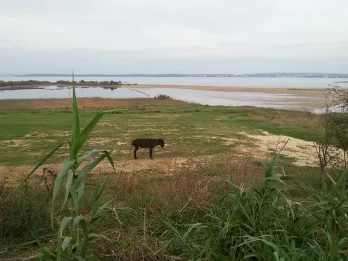 Camping Ninska Laguna 5