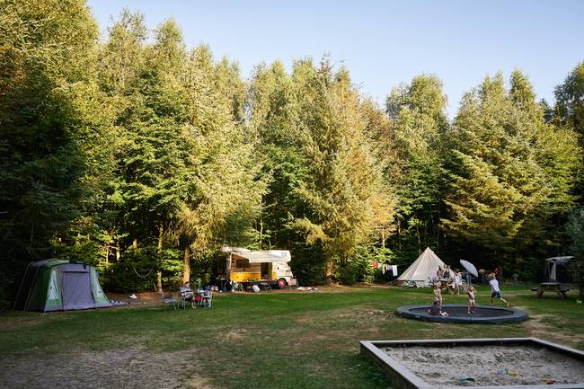 Sparrenhof, kampeercirkel met trampoline, zandbak en speeltoestel.