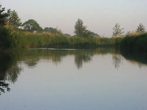 Camping Oan 'e Swemmer 5