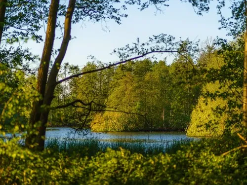 Campingplatz Oberer Waldteich Boxdorf 7