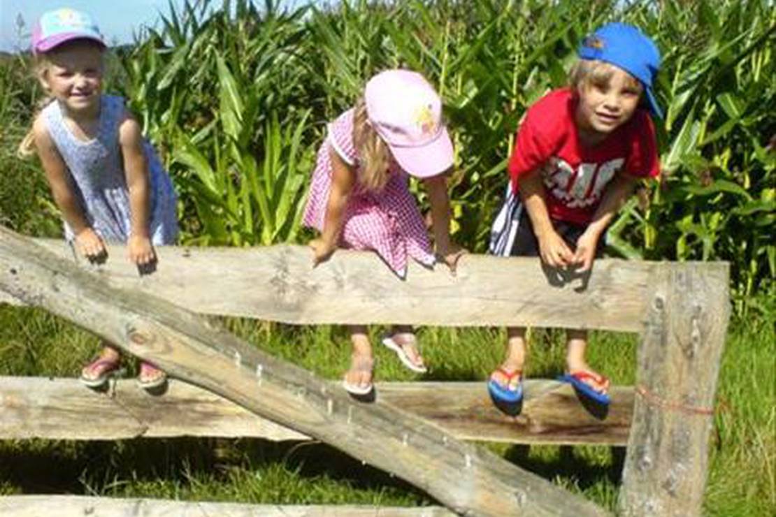 Camping Onder de Dijk 4