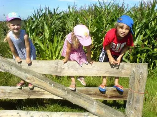 Camping Onder de Dijk 3