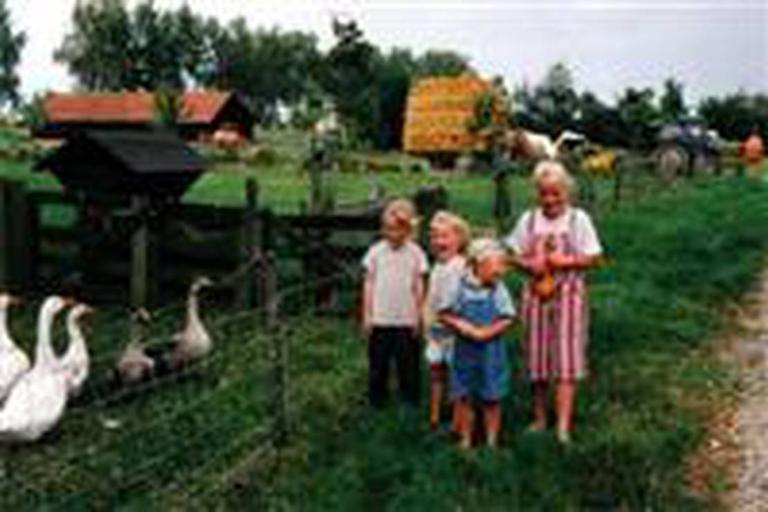 Camping Oranjepolder 4