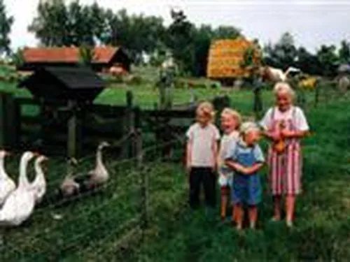 Camping Oranjepolder 3