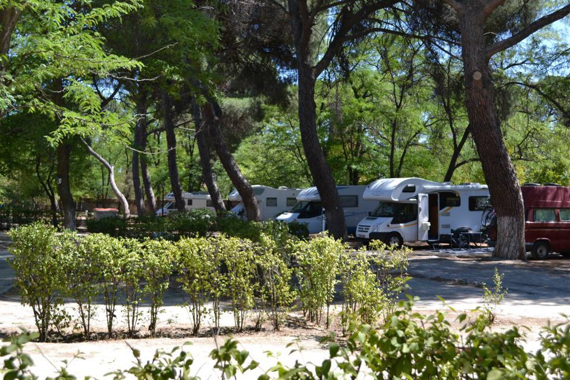 Camping Osuna 6