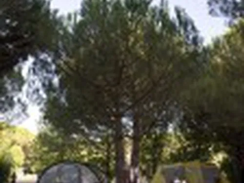 Camping Paduella 8