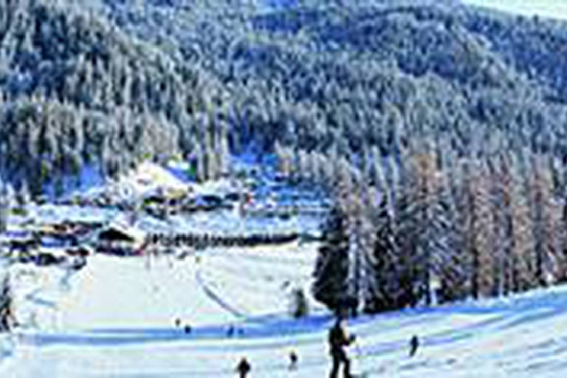 Camping Palafavera 5