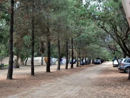 Camping PARADELLA *** 6
