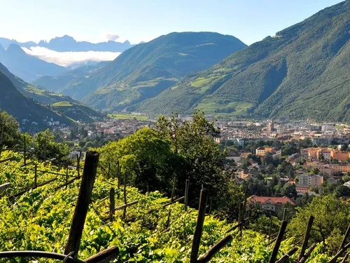 Camping-Park Steiner Südtirol 6