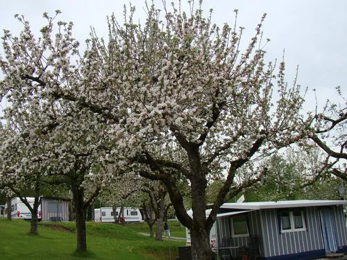 Camping Paul Walther 7