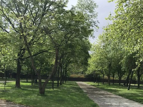 Camping peregrino San Marcos 5