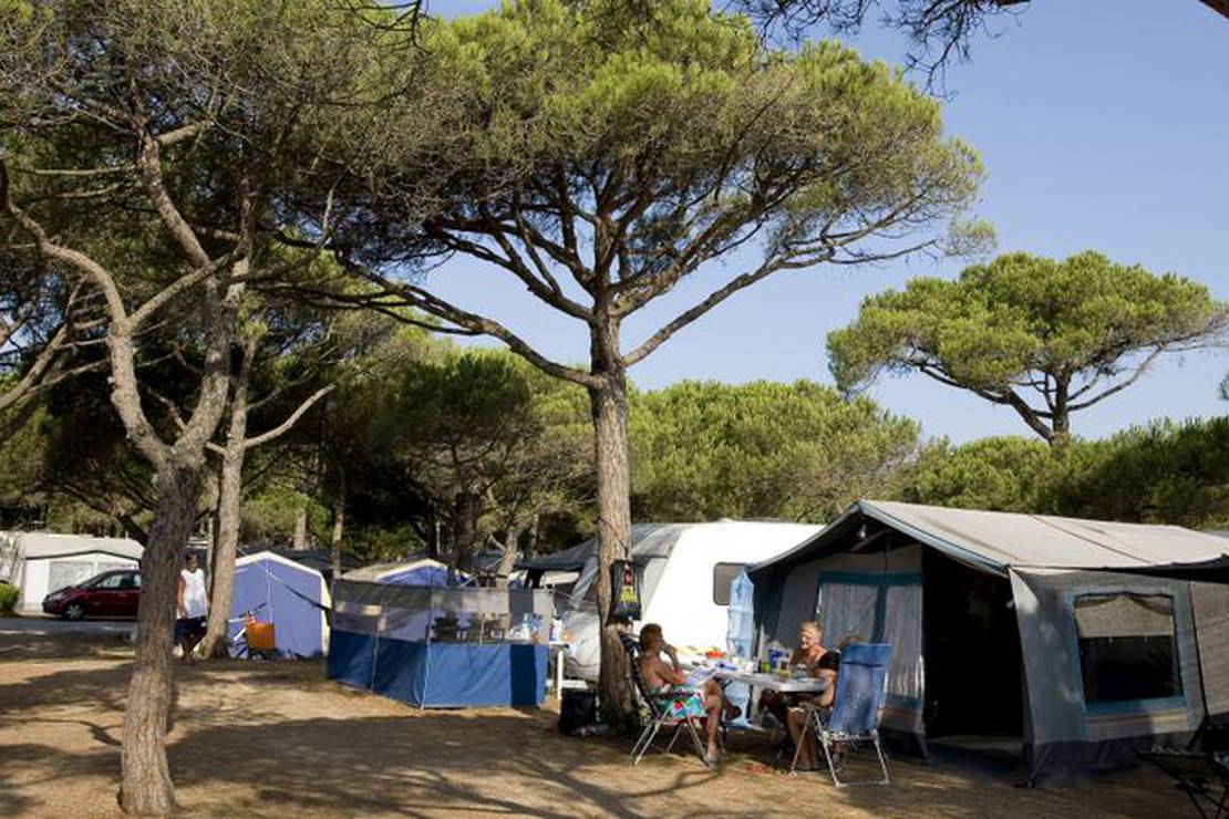 Camping Pinell 4