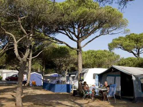 Camping Pinell 3