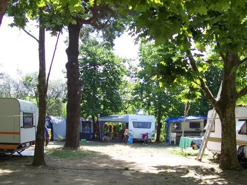 Camping Pineta 5