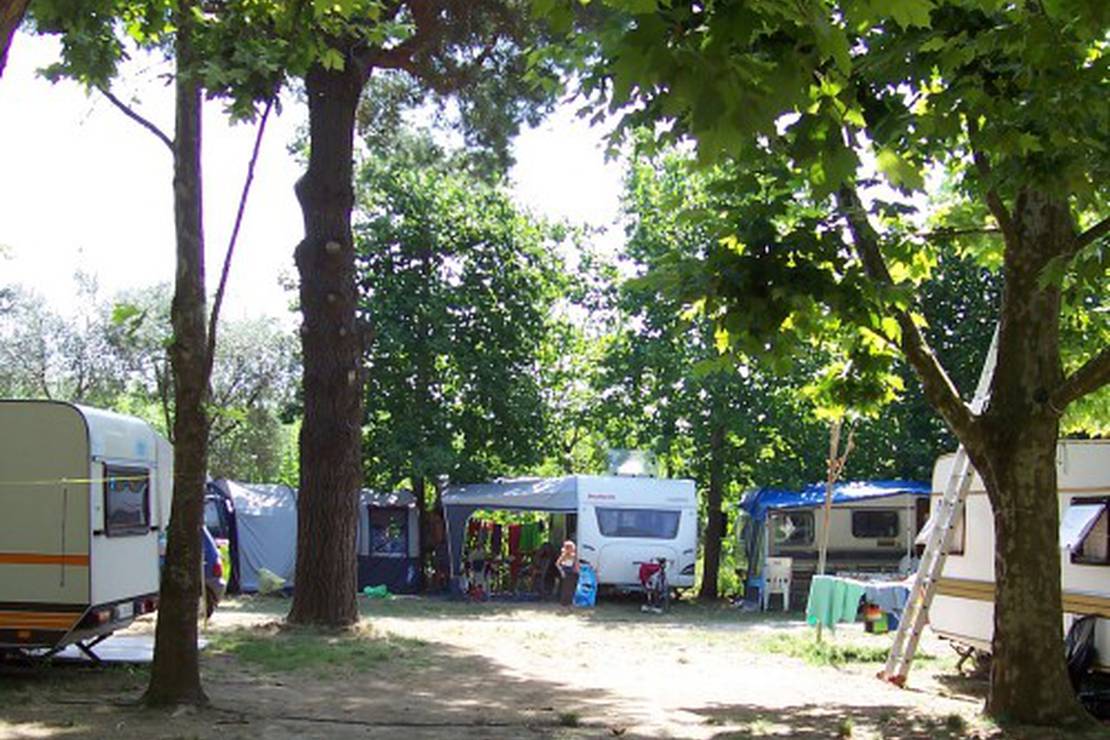 Camping Pineta 6