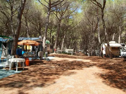 Camping Pionier Etrusco 4