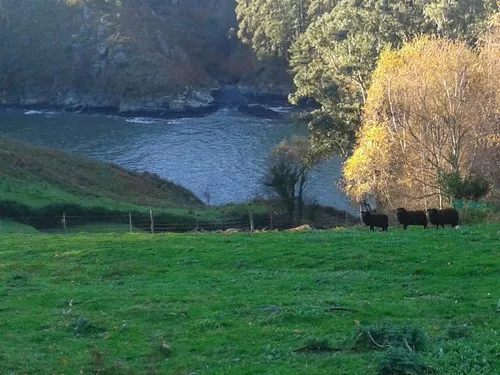 Camping Playa De Taurán 5
