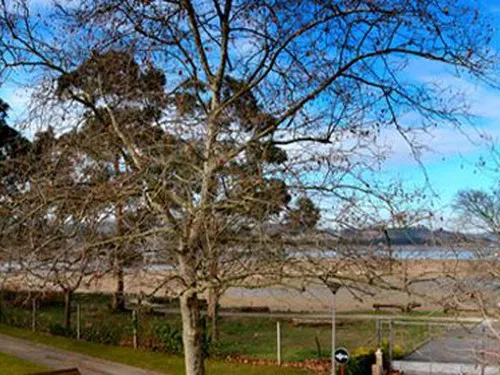 Camping Playa del Regaton 5