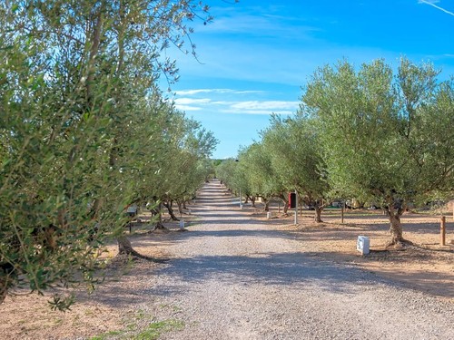 Camping Playamonte 2