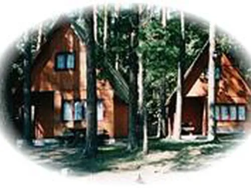 Camping Pod Sosnami 5