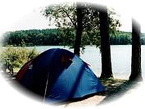 Camping Pod Sosnami 3