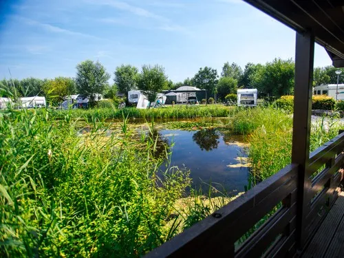 Polderflora Camping & Chalets 5