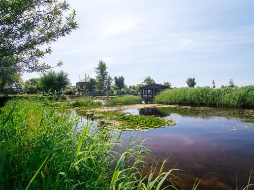 Polderflora Camping & Chalets 3