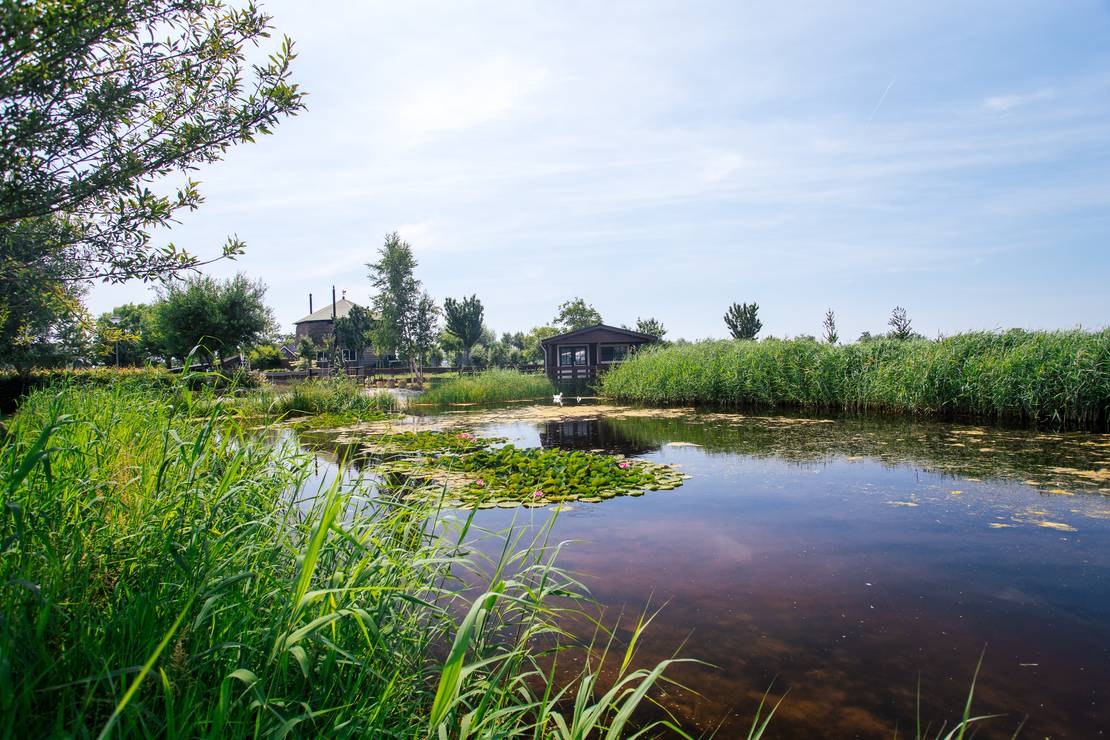 Polderflora Camping & Chalets 4