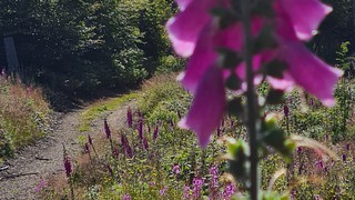 Camping Polstertal Camping Info